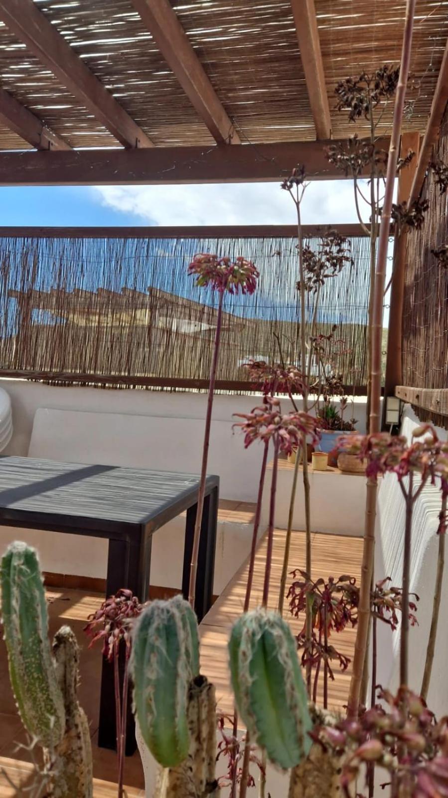 Casa Mellis Aguamarga Apartment Agua Amarga  Exterior photo